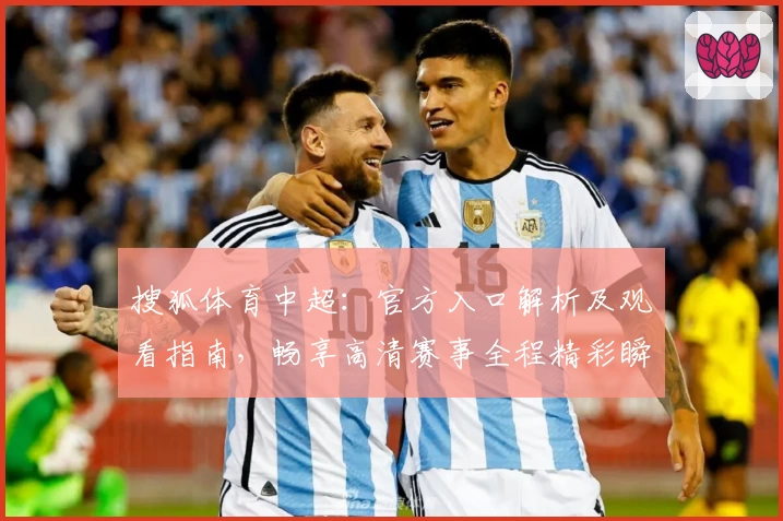 搜狐体育中超：官方入口解析及观看指南，畅享高清赛事全程精彩瞬间
