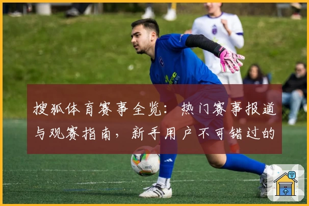 搜狐体育赛事全览：热门赛事报道与观赛指南，新手用户不可错过的实用功能