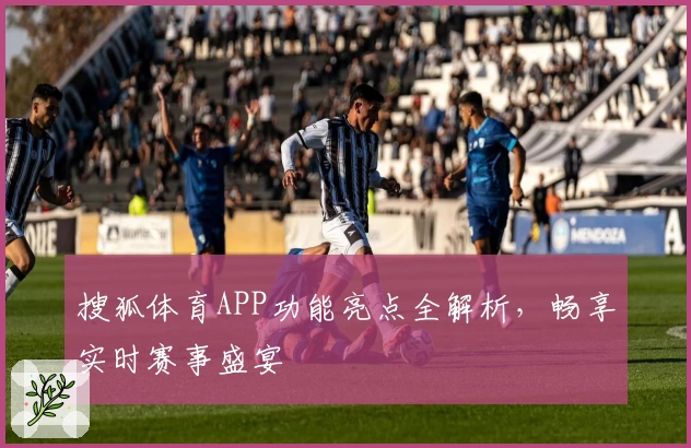 搜狐体育APP功能亮点全解析，畅享实时赛事盛宴