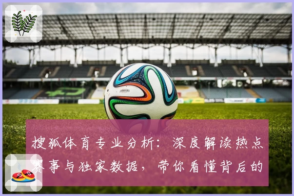 搜狐体育专业分析：深度解读热点赛事与独家数据，带你看懂背后的比赛逻辑