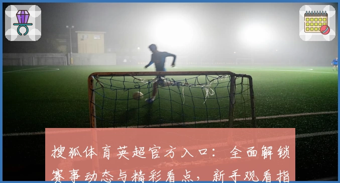 搜狐体育英超官方入口：全面解锁赛事动态与精彩看点，新手观看指南一览