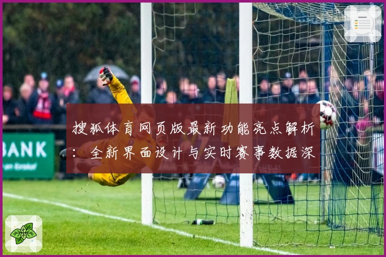 搜狐体育网页版最新功能亮点解析：全新界面设计与实时赛事数据深度体验